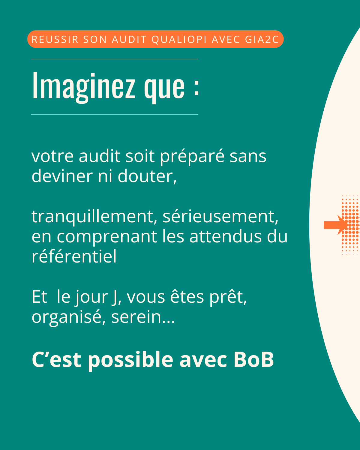 Découvrez Bob en images