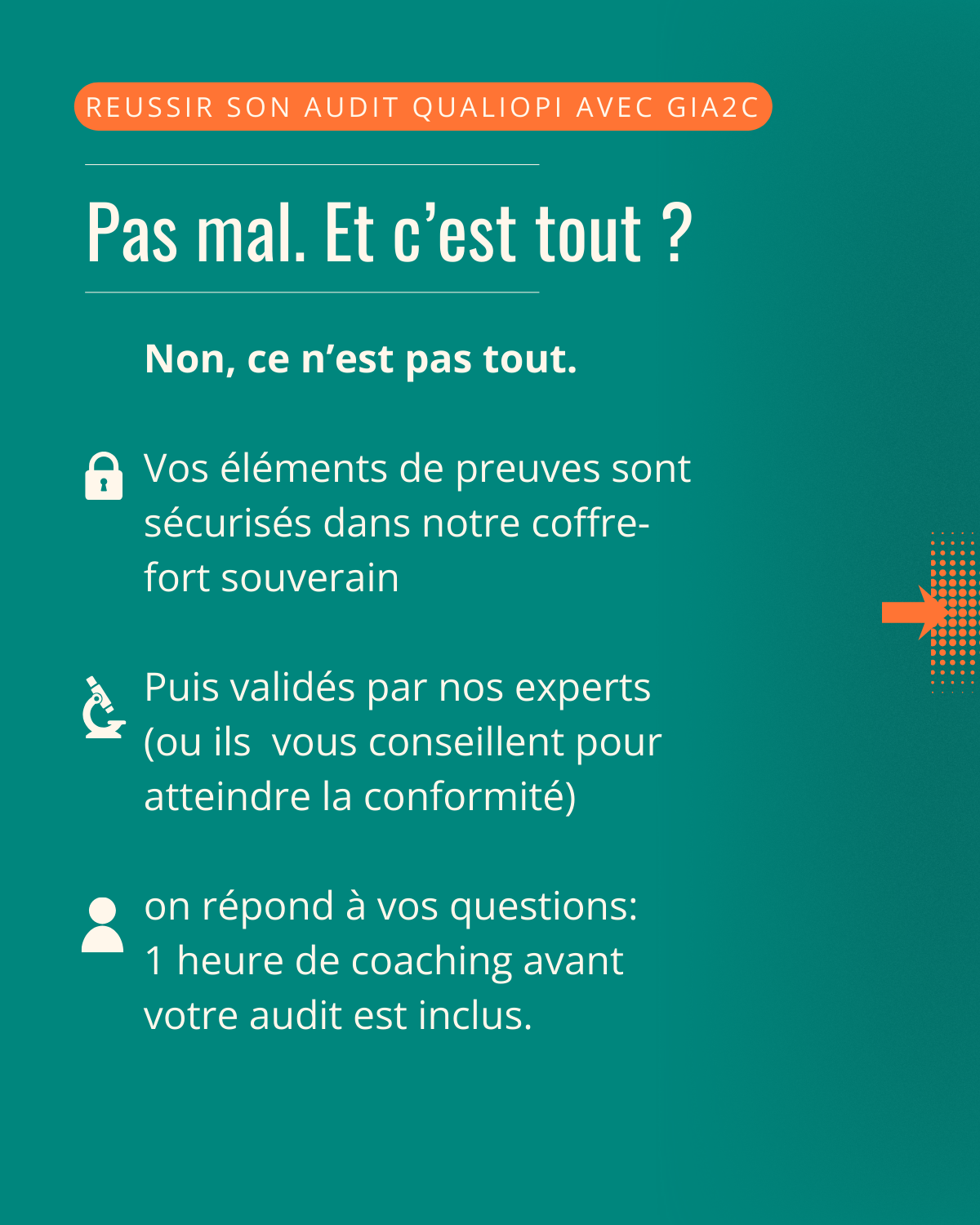 Découvrez Bob en images